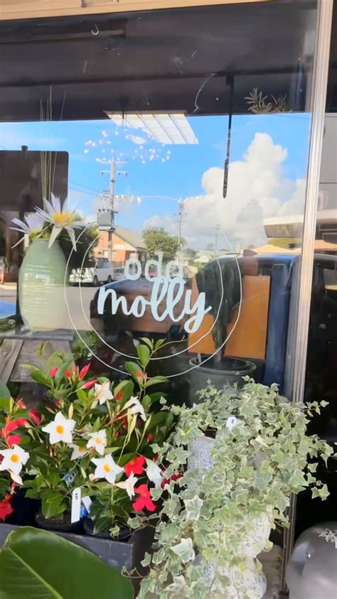 odd molly home|Odd Molly (@oddmolly) • Instagram photos and videos.